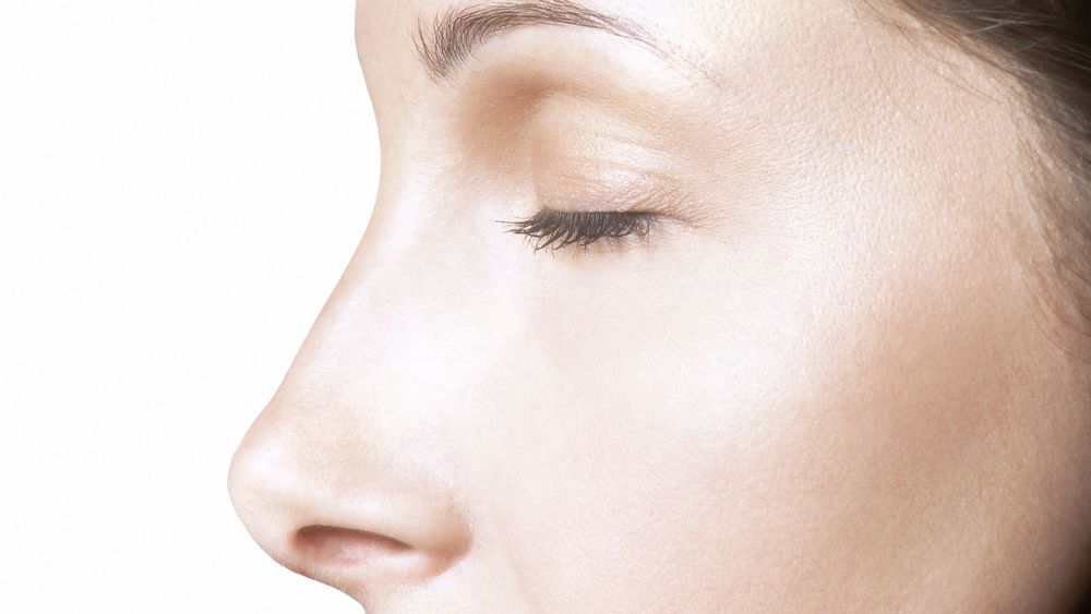 What are the different types of nose ?